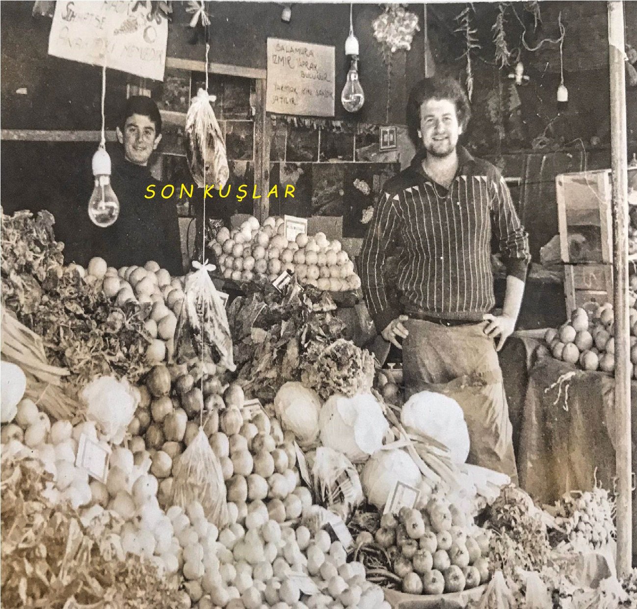 Son Kuşlar