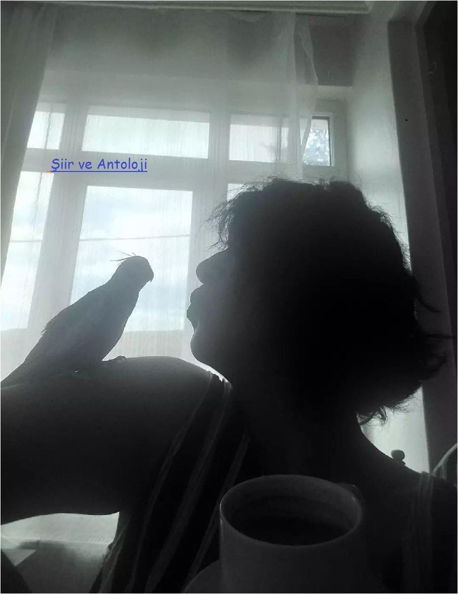 Seni Unutmak Adına