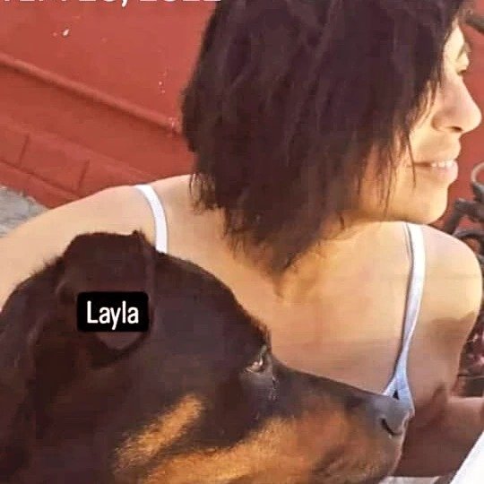 Aşk Acıyı Sever