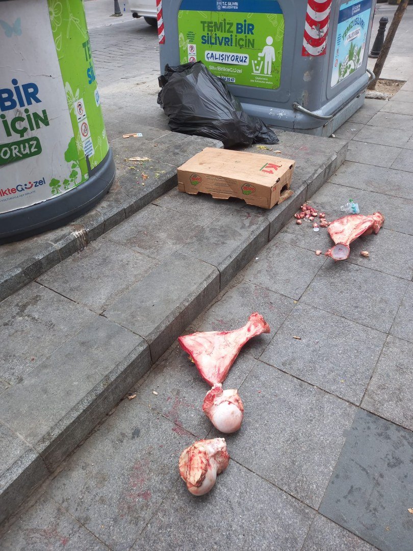 Be hey Allah’ın sersem kulu…